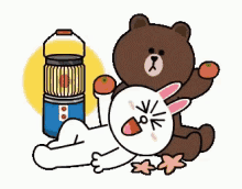 Brown And Cony Oranges GIF - Brown And Cony Oranges Cute GIFs