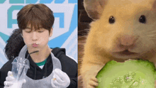 a hamster is eating a slice of cucumber next to a man eating a drink