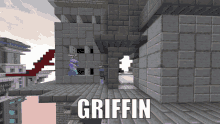 afluffygriffin griffin