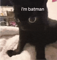 a black cat is standing on a white blanket and says `` i 'm batman '' .