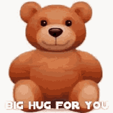 Big Hug For You Bear Hug GIF - Big Hug For You Bear Hug GIFs