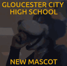 Ghslions Gloucestercity GIF