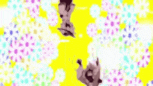 a cartoon character is standing on a yellow background with colorful flowers .