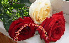 two red roses and a white rose on a window sill with russian writing