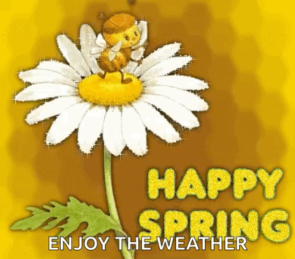 spring.gif