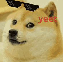 Dog Yeet GIF - Dog Yeet Deal With It GIFs