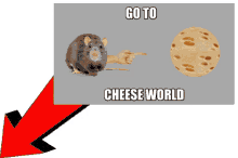 cheese world cheese world rat go to