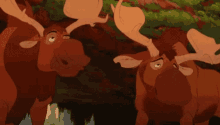Moose Nodding GIF - Moose Nodding GIFs