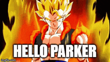 Parker Hello Parker GIF - Parker Hello Parker Gogeta GIFs