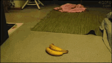 Cat Banana GIF - Cat Banana Freaking GIFs