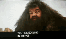 Hagrid Meddling GIF - Hagrid Meddling Head Shake GIFs