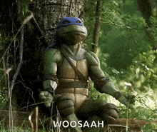 a teenage mutant ninja turtle is sitting under a tree in the woods and saying woosaah .