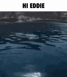 Hi Eddie Fish GIF - Hi Eddie Eddie Fish GIFs