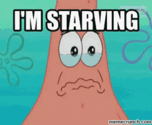 a cartoon of patrick star from spongebob squarepants says " i 'm starving "