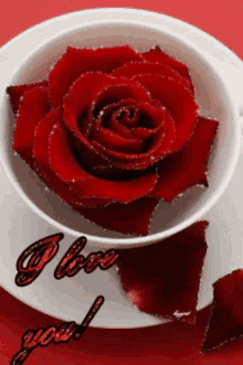 Shubhamjadhav0084 I Love You GIF - Shubhamjadhav0084 I Love You Roses GIFs