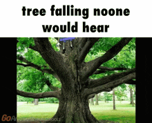 Tree Falling Noone Would Hear Spongebob GIF