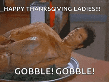 Thanksgiving Turkey GIF - Thanksgiving Turkey GIFs