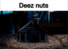 g force deez nuts original deez nuts hl2rp