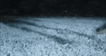 a close up of a snowy field with a lot of snow on the ground .