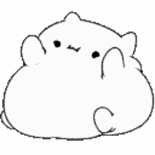 chub cat fat cute