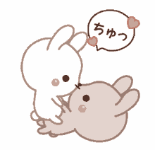 bunnies kisses