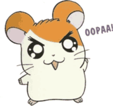 oopaa angry hamster hamtaro funny