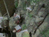 a blurry picture of a group of people sitting on a rock in a garden .