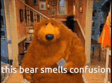 Thus Bear Smells Bear GIF