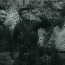 a black and white photo of three men standing next to each other in a forest .