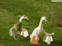 Shopping Goose GIF - Shopping Goose Quarantine Life GIFs