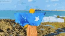 Somaliland GIF - Somaliland GIFs