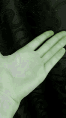 Evan Evans Hands GIF - Evan Evans Hands Green Hand GIFs
