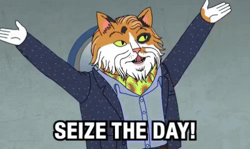 Make The Most Of It GIF - Seize The Day Bo Jack Horseman Make The Most Of It GIFs