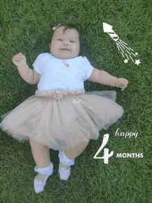 a baby in a tutu is laying in the grass with the words happy 4 months