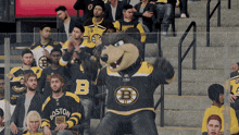 a boston bruins mascot stands in front of a crowd of fans