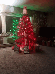 Tree Christmas Tree GIF