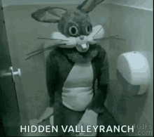 sit down toilet bugs bunny hidden valley ranch