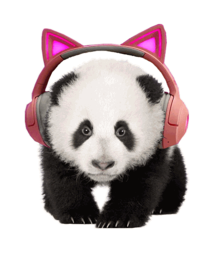 Baby Panda Headphone Panda Sticker - Baby Panda Headphone Panda Pandaroni Stickers