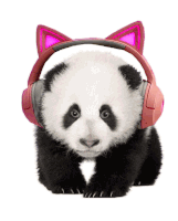 Baby Panda Headphone Panda Sticker
