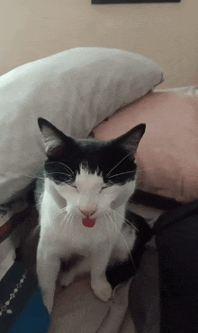 a black and white cat with its eyes closed and its tongue out