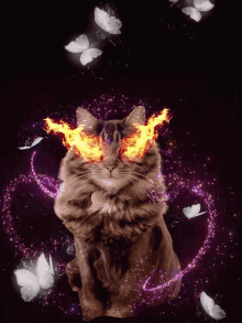 Evil Cat Cat GIF