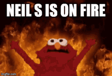 Neil S Is On Fire Elmo GIF
