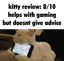 cat review