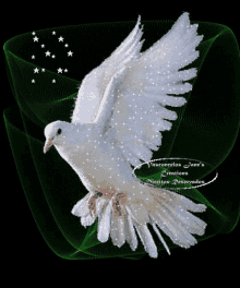Dove Love Bird GIF - Dove Love Bird Sparkle GIFs