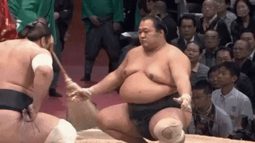Sumo Sumo Fight Gif Sumo Sumo Fight Japan Discover Share Gifs My Xxx