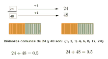 Fracciones Equivalentes GIF - Fracciones Equivalentes GIFs