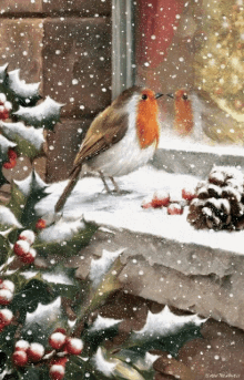 Bird Snow GIF - Bird Snow Roodborstje GIFs