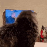 a cat is sitting in front of a television looking at something