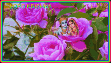 Jai Sh Krishna Lord Krishna GIF - Jai Sh Krishna Lord Krishna Rose GIFs