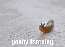 slug slug dancing gooby gooby listening music